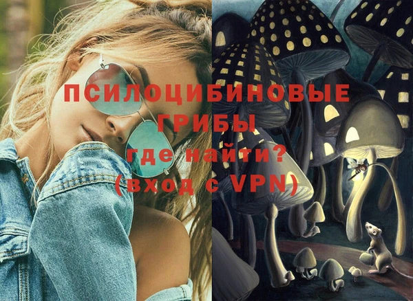 дурь Алексин