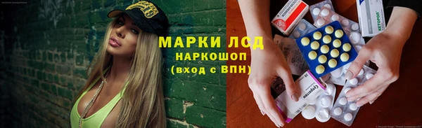 гидра Болохово