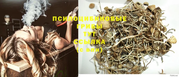 дурь Алексин