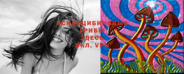 дурь Алексин