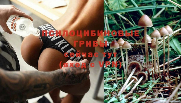 бошки Алексеевка