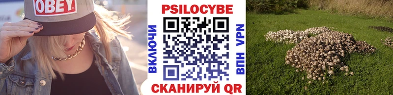магазин    Дмитров  omg   Галлюциногенные грибы ЛСД 