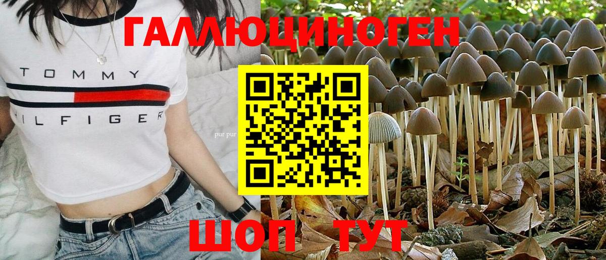 Галлюциногенные грибы GOLDEN TEACHER  Вход с VPN  Дмитров  Галлюциногенные грибы мухоморы 